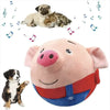 PorkyBall